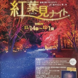 森林公園の紅葉をライトアップ＆イルミネーションで彩る『紅葉見ナイト』